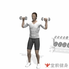 哑铃推举(双臂)