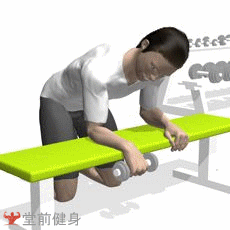 哑铃正握腕弯举