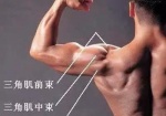 [肩部训练]一种比较独特的三角肌前束训练方法