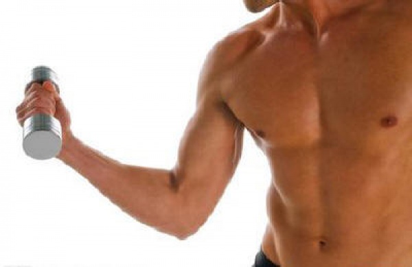 停止训练后，肌肉会转化成脂肪吗？