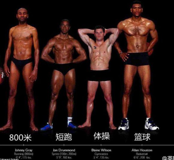 跑步、体操、篮球运动员肌肉比较