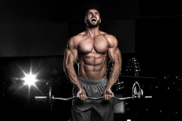肌肉越多越容易减脂，这是真的吗？