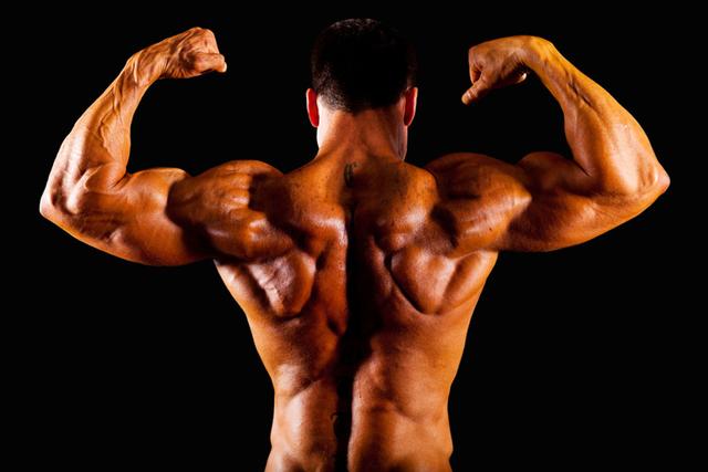 一周P.H.U.L.训练方法，增长肌肉增强肌力